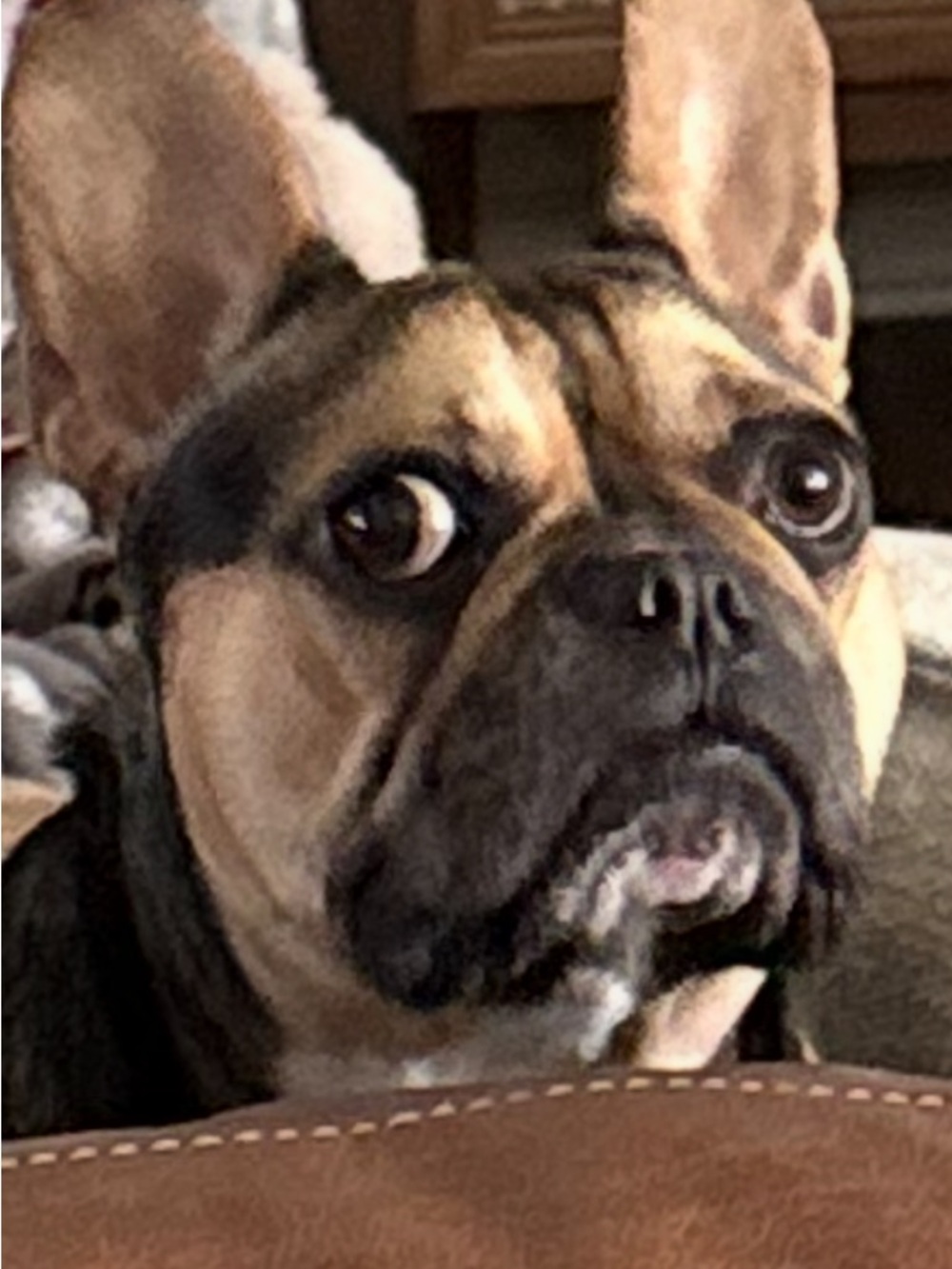 Meet your Posher, Nick